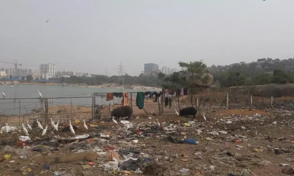 Open land turns into a dumping yard