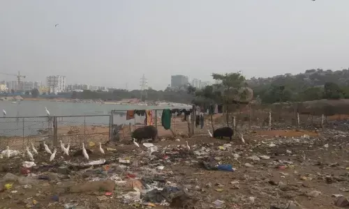 Open land turns into a dumping yard