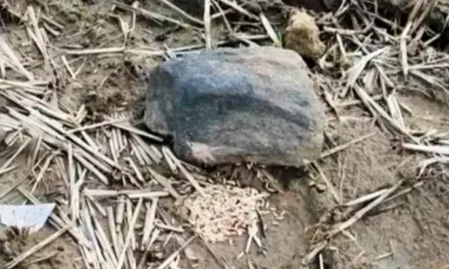 Maharashtra farmer faces social boycott, fine for damaging village deity