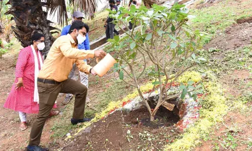 VMC Commissioner Prasanna Venkatesh watering a plant at Sarada Nursery in Vijayawada on Friday