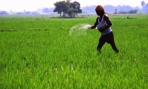 Agriculture,Civil Supplies lauded for record paddy procurement