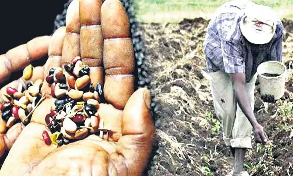 Police Officials Are Keeping An Eye On Fake Seed Supply In The State