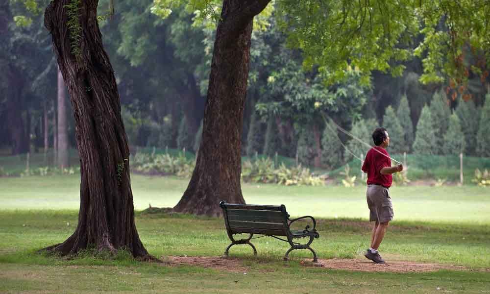 Public parks, gardens to open in Delhi from today; yoga activities allowed