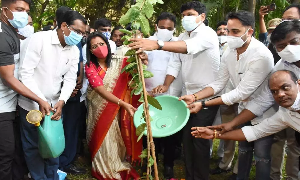 Hyderabad Mayor Gadwal Vijayalakshmi plants saplings, donats blood on her birthday