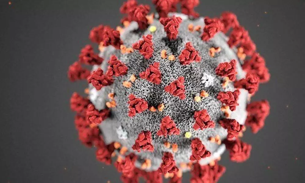 Representative image of SARS-CoV-2 virus