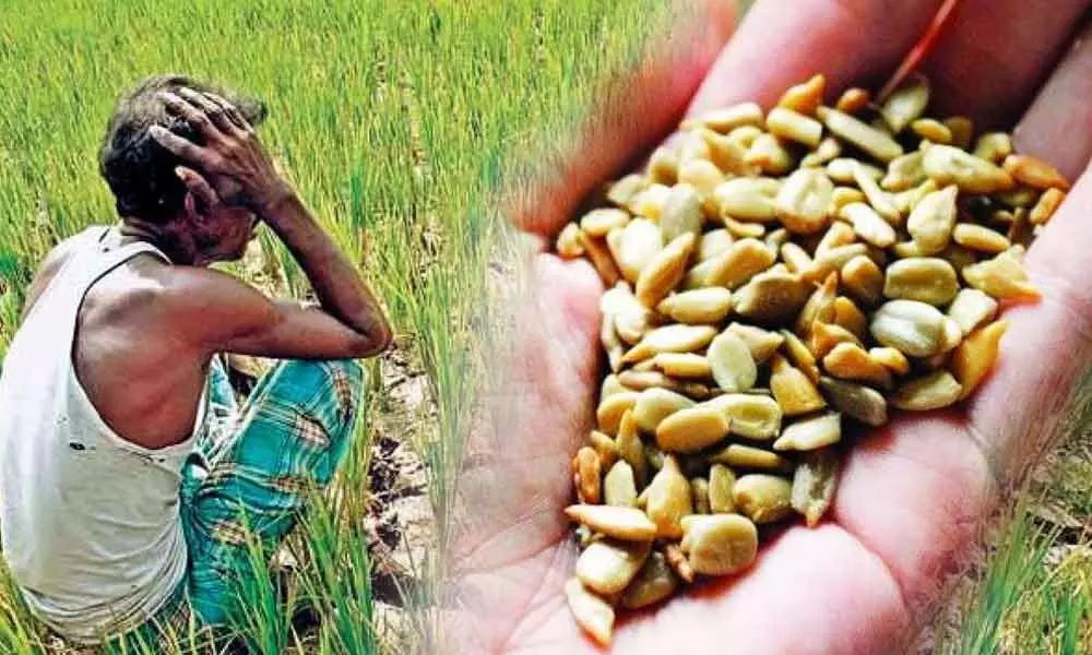 Telangana farmers who are cheated with spurious seeds (Representational Image)