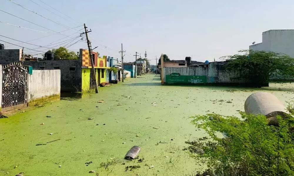 Ghost of waterlogging returns to haunt Osman Nagar dwellers
