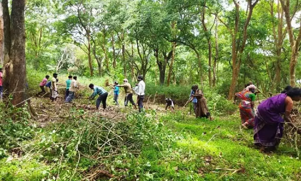 Forest department clearing weeds in BRT tiger reserve to pave way for growing fodder for elephants