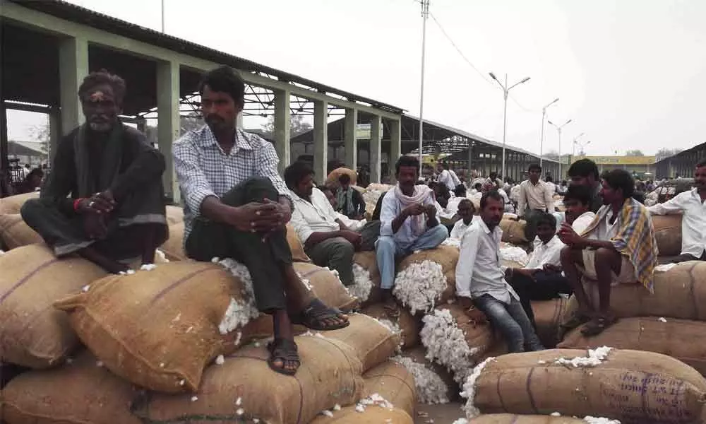 Cotton bales at Enumamula Agriculture Market (File pic)