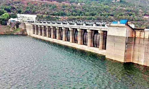NGT fires on AP govt over Rayalaseema lift irrigation scheme