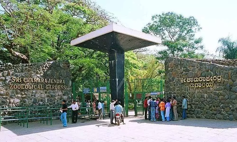 Chamarajendra Zoological Gardens