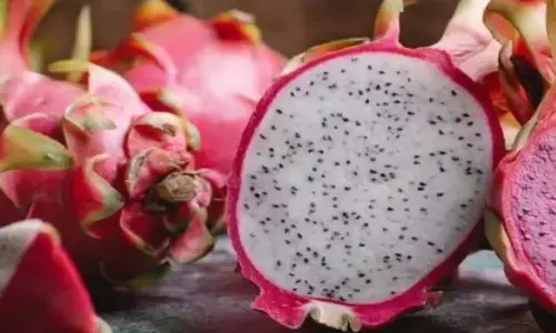 India exports first consignment of dragon fruit to Dubai