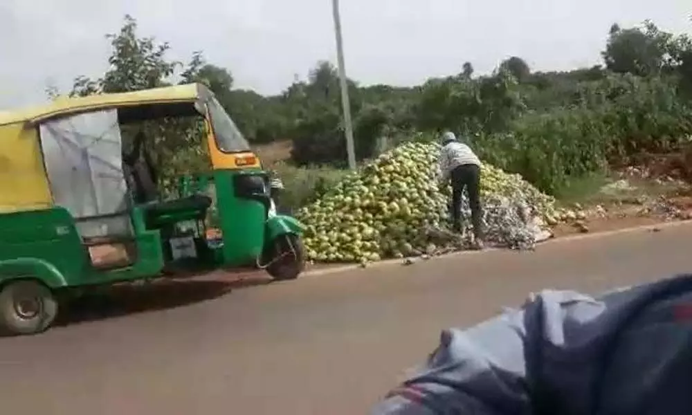Karnataka growers dump mangos as demand slumps, prices crash