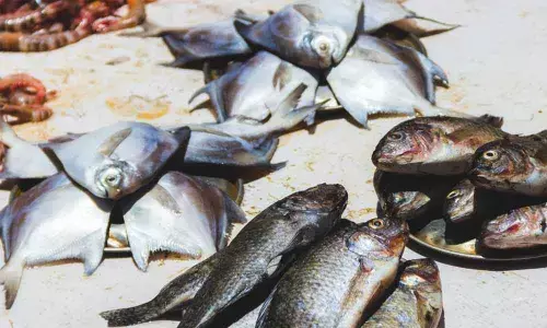 Fish kiosks, mini retail outlets and ready to eat centres to come up in Visakhapatnam district