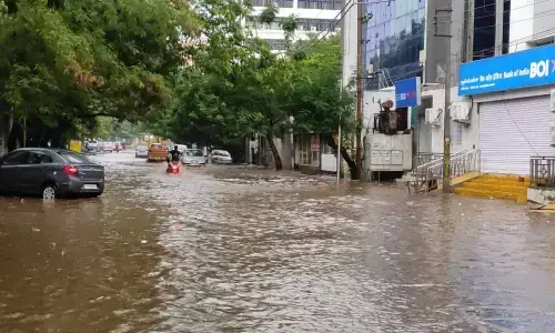 Heavy rains trigger water-logging, tree falls in Tarnaka