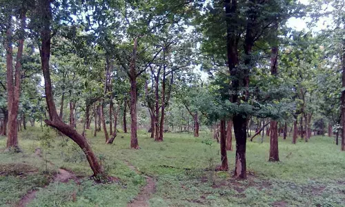RFO J Vijaya Kumar suspended for permitting felling of trees in reserve forest