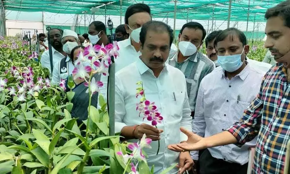 Officials explaining a point to Agriculture Minister K Kannababu at the mango orchard cultivating nursery near Nuzvid on Monday
