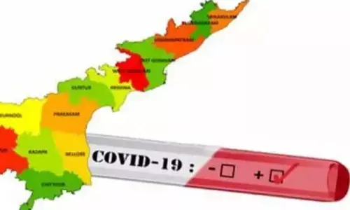 Andhra Pradesh registers 2224 new coronavirus cases and 31 deaths today