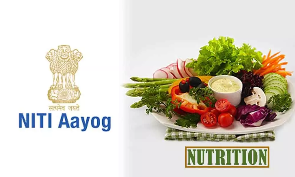 NITI Aayog advises State to focus on nutrition of pregnant women, children