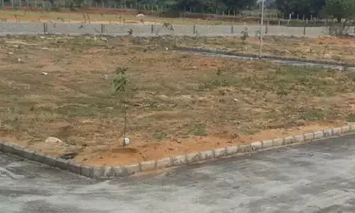 Revenue Minister Dharmana Krishna Das urged not to revise land, site values