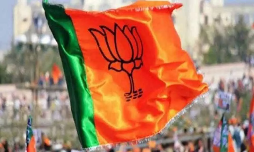 BJP wins 21 zila panchayat seats in Uttar Pradesh