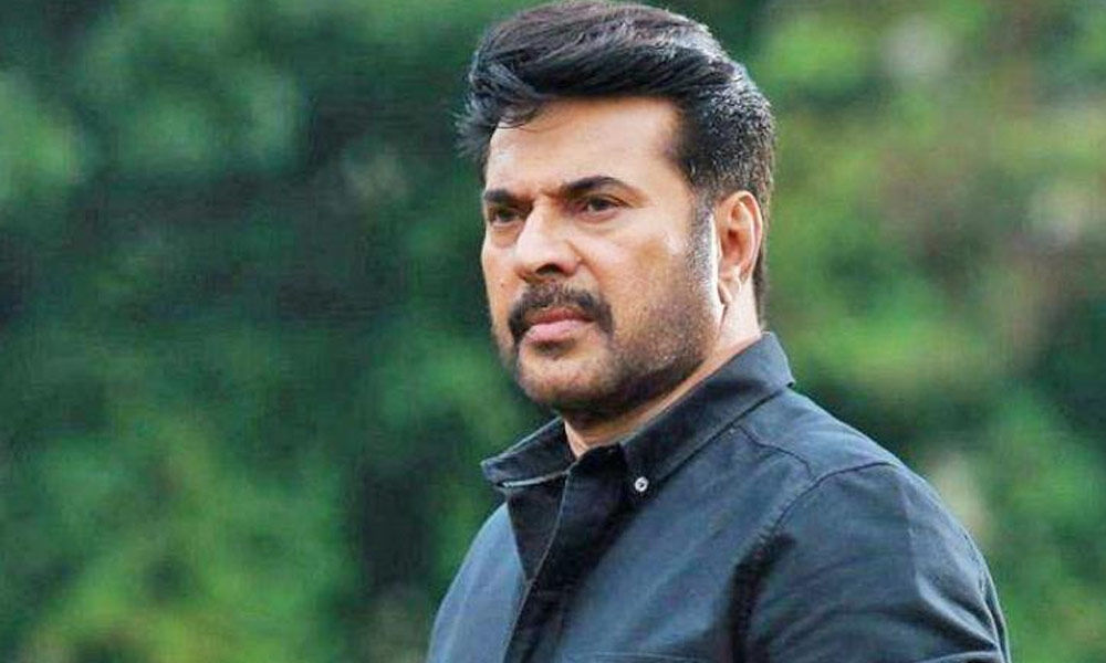 Mammootty on board for Akkineni scion