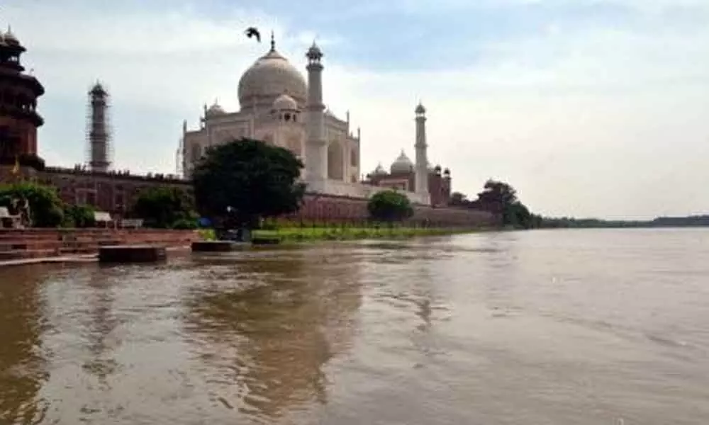 Taj city’s mega plantation drive despite water-space issues