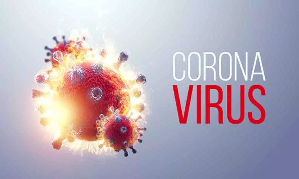 Coronavirus Representational Image (Image / Freepik)