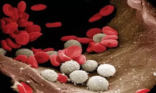 Covid-19 infection significantly changes our blood cells: Study