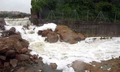 Industrial effluents polluting Kukatpally lakes