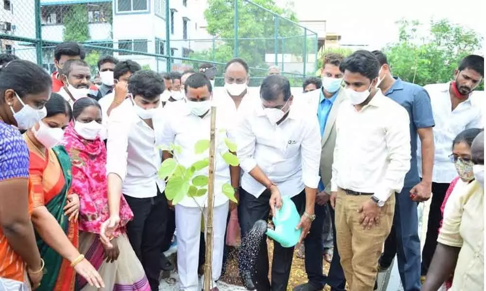 Minister for Municipal Administration and Urban Development Botcha Satyanarayana plants sapling at indoor stadium in Patamata