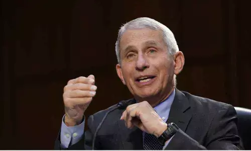 White House Chief Medical Advisor Dr Anthony Fauci