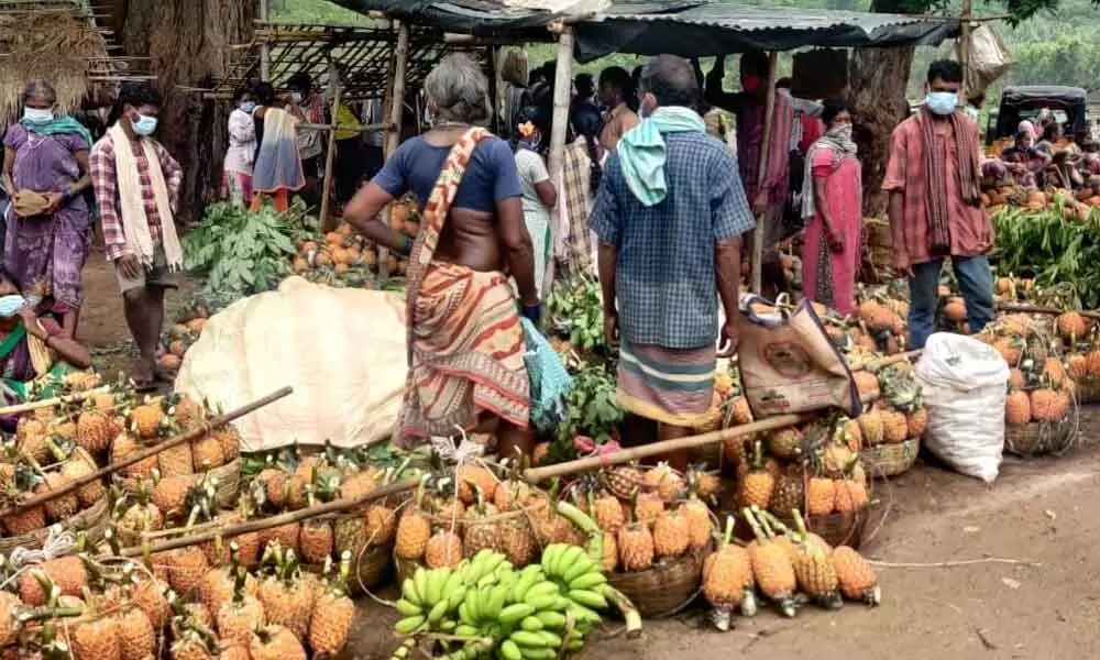 Tribal farmers selling pineapples at Sitampeta in Srikakulam district