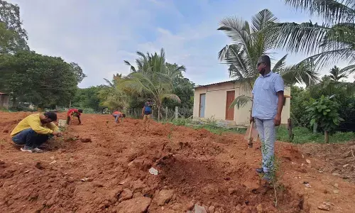 Army veteran conducts food plantation drive in the memory of fallen soldier