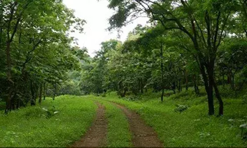 Representational Image