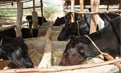 Representational Image