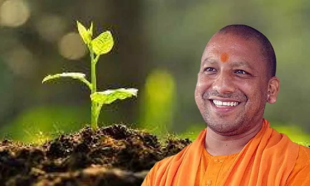 Over 1 billion saplings planted in UP during Yogi regime