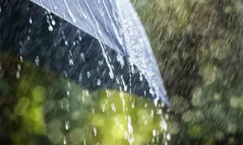 For representational purpose