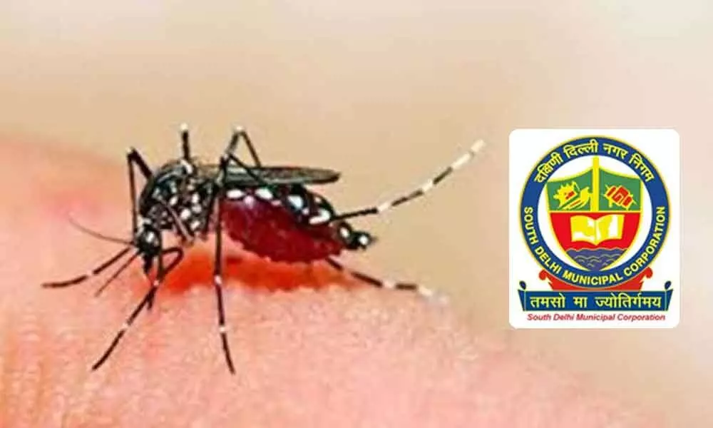 Delhi reports 36 dengue, 11 malaria cases till July 3