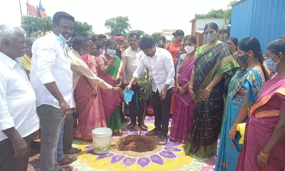 ZPTC Patnam Avinash Reddy watering a sapling after planting it as part of the Haritha Haram programme, in Antharam village in Shabad mandal on Monday
