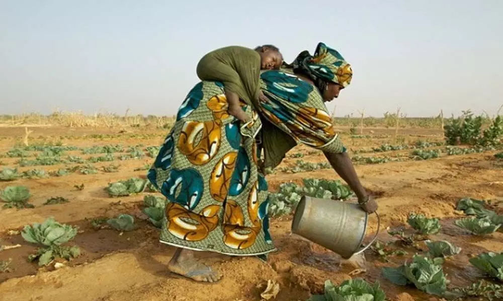 African nations urged to promote inclusive agriculture