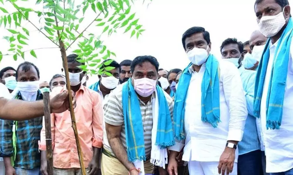 Minister for Panchayati Raj, Errabelli Dayakarao watering a plant in Velpur on Thursday