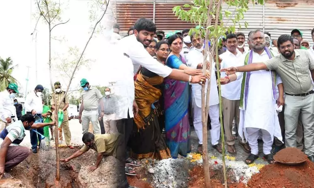 District Collector G Veera Pandian along with SP Dr Fakkeerappa Kaginelli and Municipal Commissioner D K Balaji planting a sapling at Sankal Bagh in Kurnool on Thursday(Left); Mayor B Y Ramaiah planting tree sapling in Kurnool on Thursday(Right).