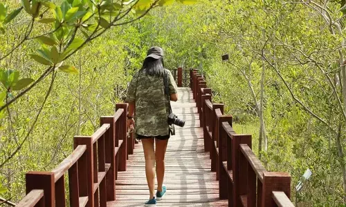 Sustainable travel practices