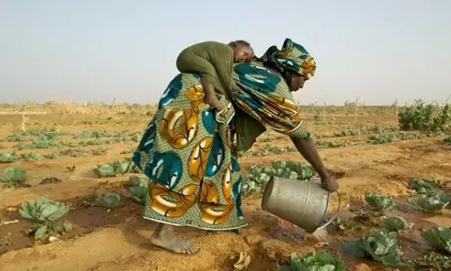 African nations urged to promote inclusive agriculture