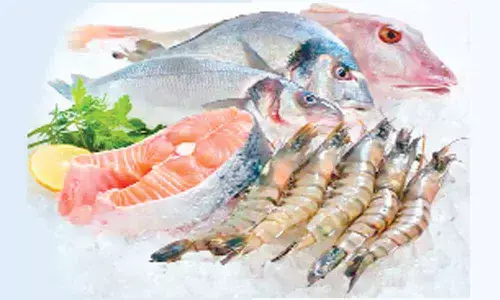 AP Government wants fish to be favorite item on your plate