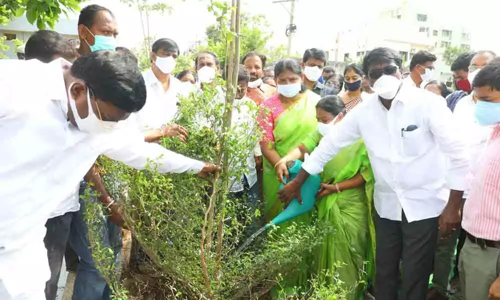 Transport Minister P Ajay Kumar watering the plants after planting them as part of Pattana Pragathi programme at 13th ward in Khammam town on Friday
