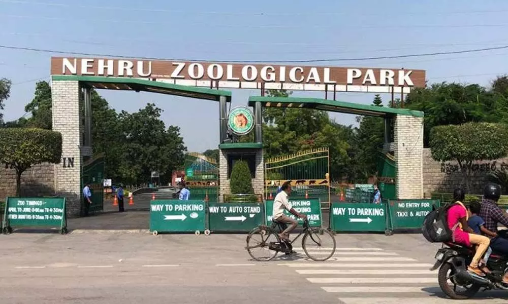 Nehru Zoological Park in Hyderabad