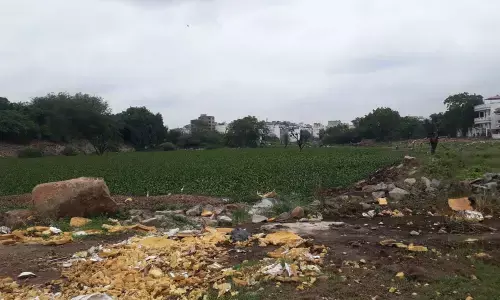 Water hyacinth, sewerage choke Bum-Rukn-ud-Dowla lake
