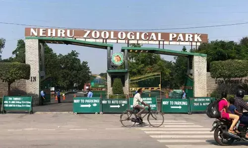 Nehru Zoological Park in Hyderabad